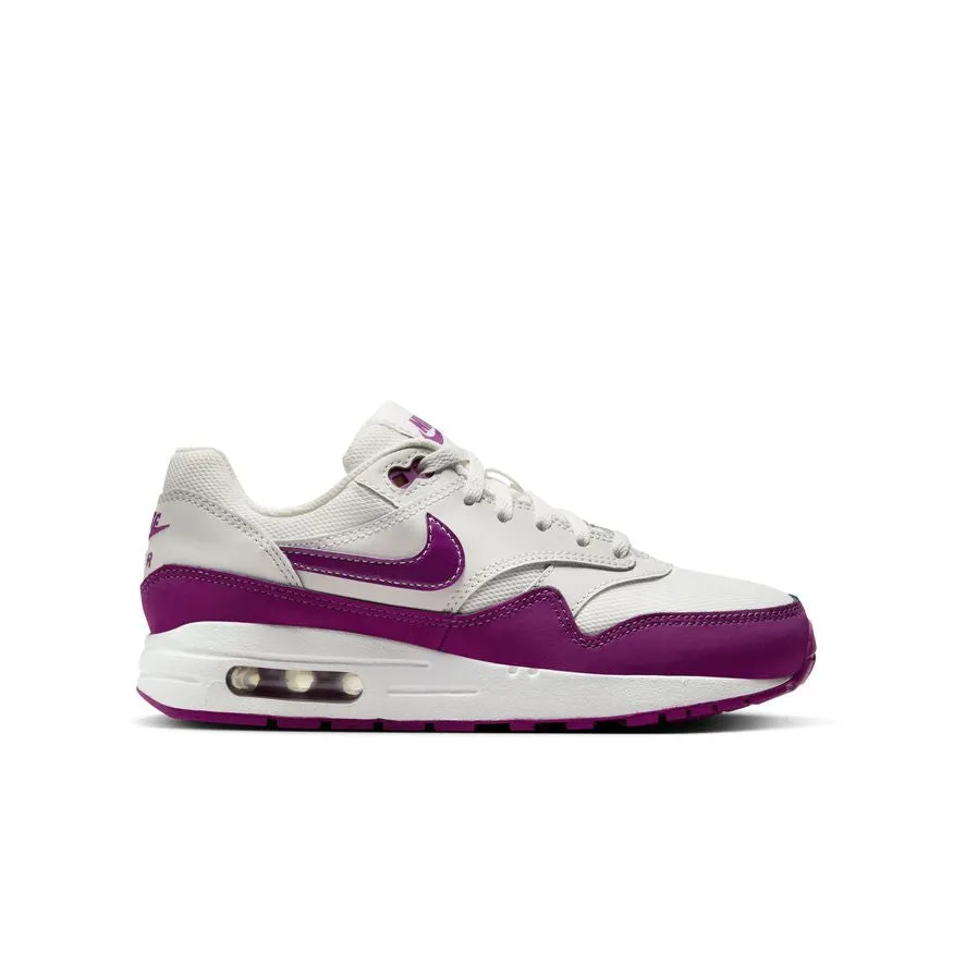 Air Max 1 DZ3307-109