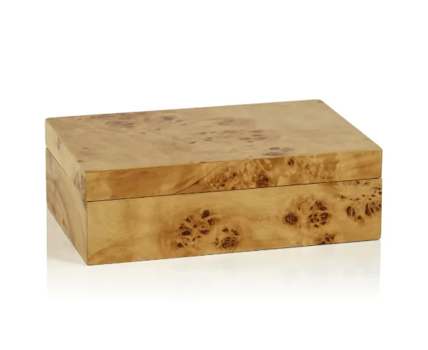 Leiden Burl Wood Design Box