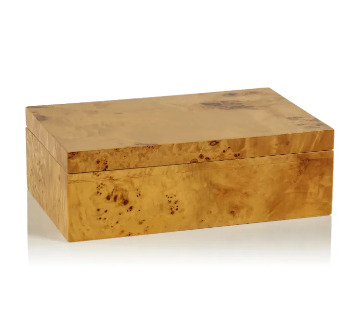 Leiden Burl Wood Design Box