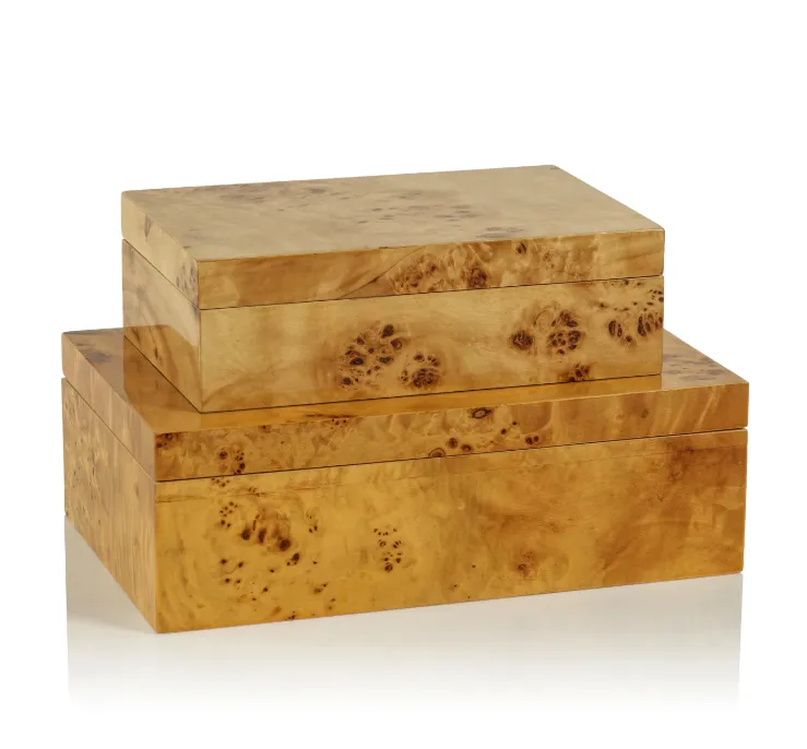 Leiden Burl Wood Design Box