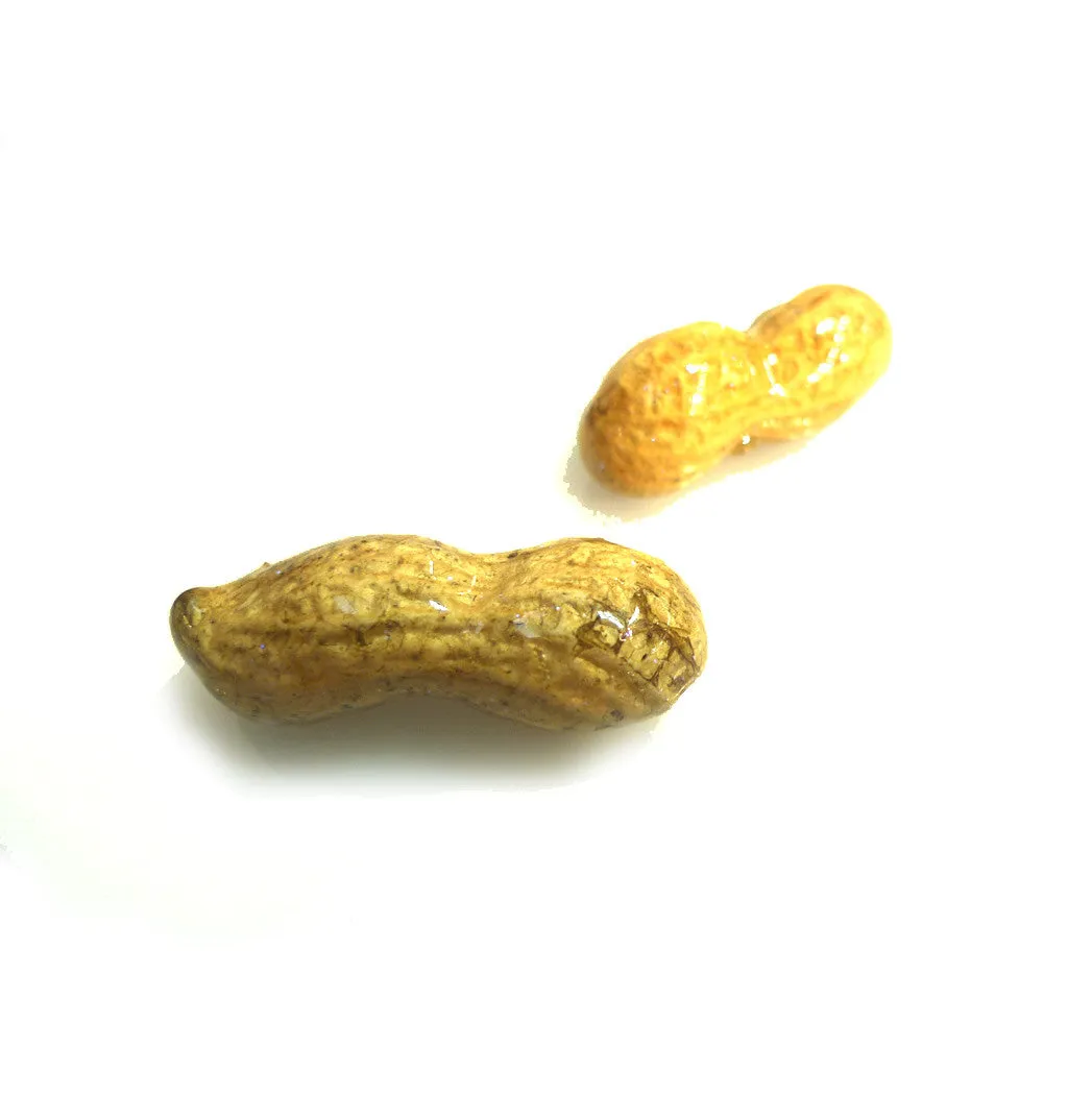 Peanut Pin