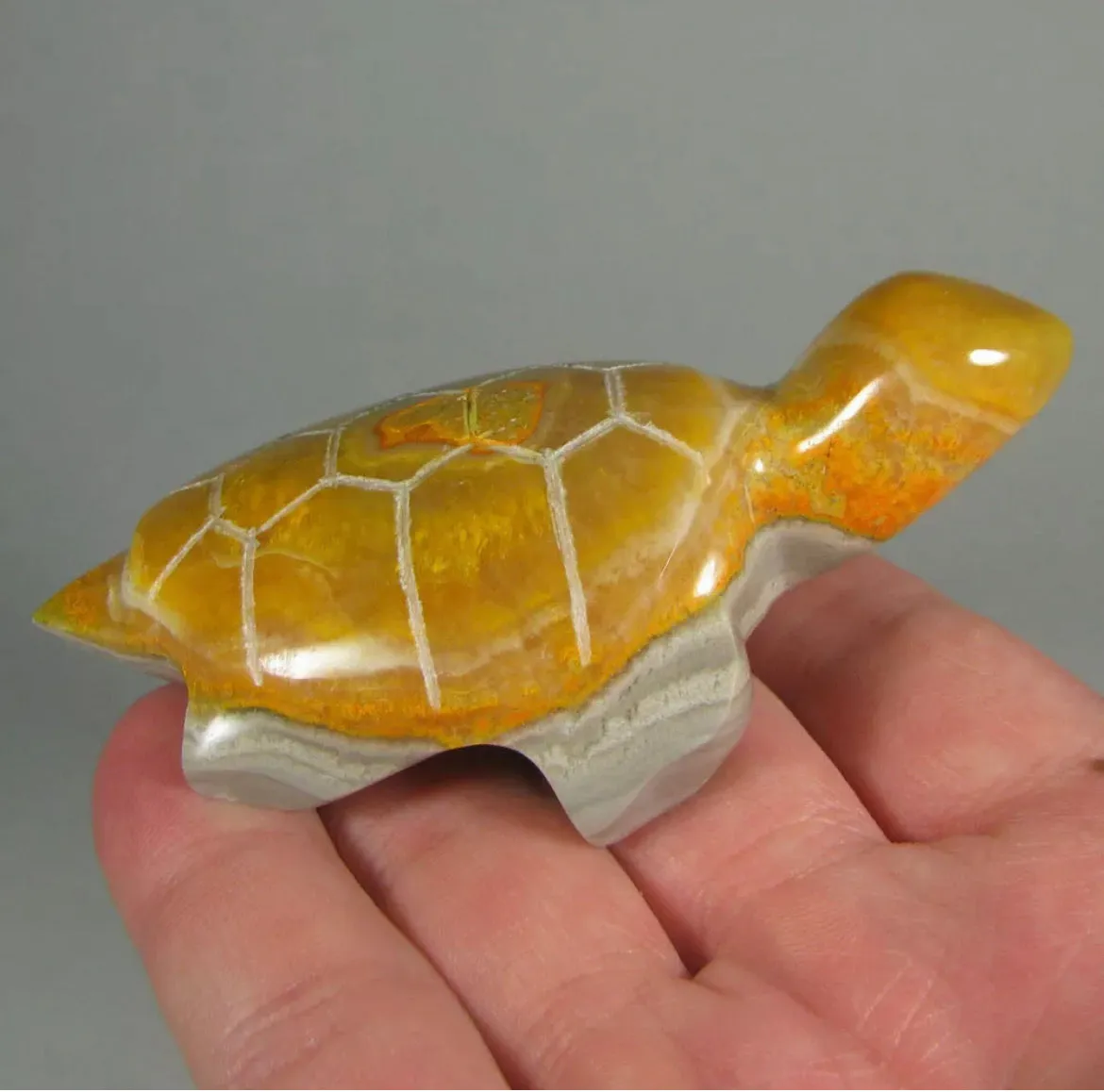 Rare Natural  Bumblebee Jasper Turtle