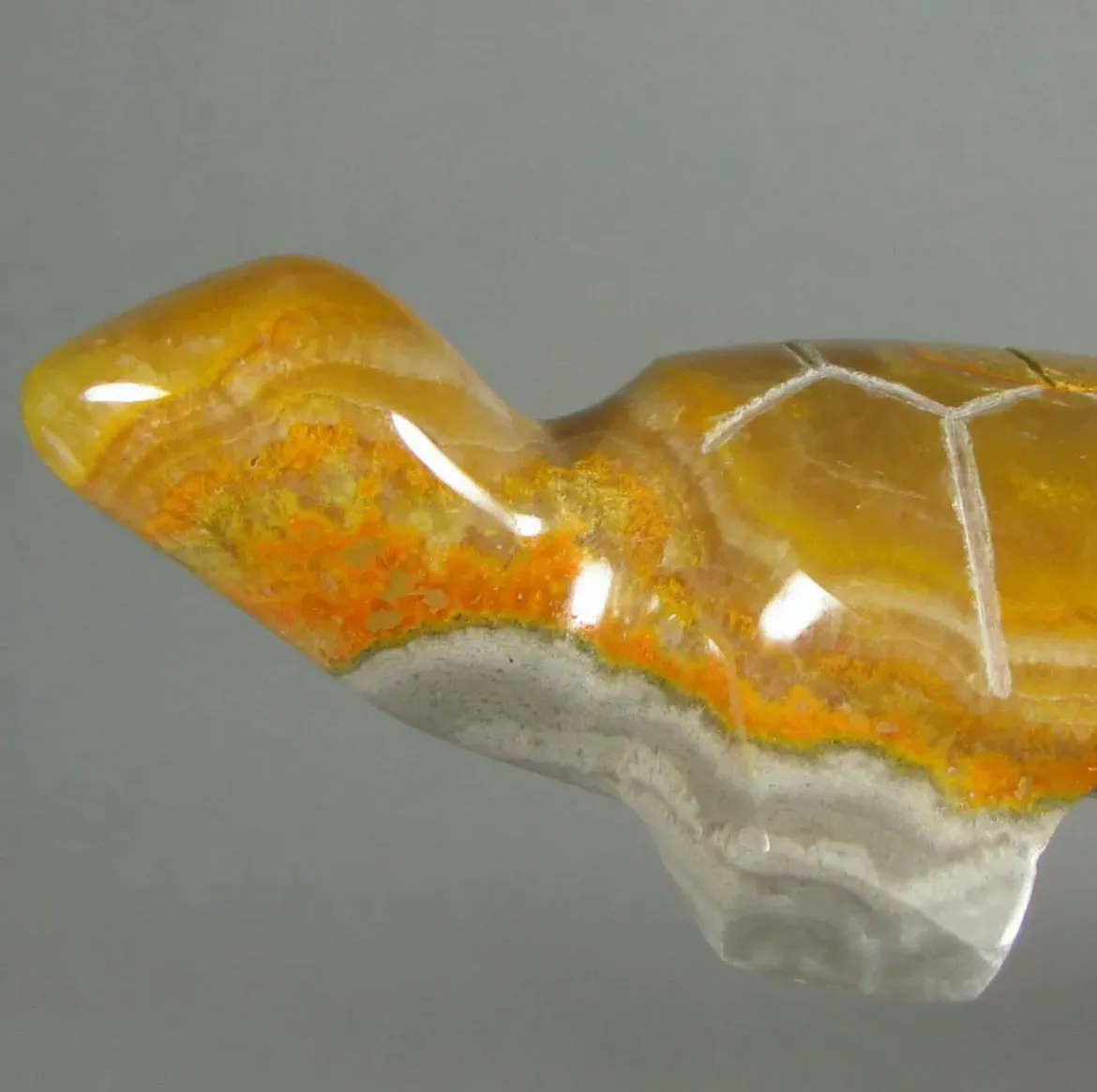 Rare Natural  Bumblebee Jasper Turtle