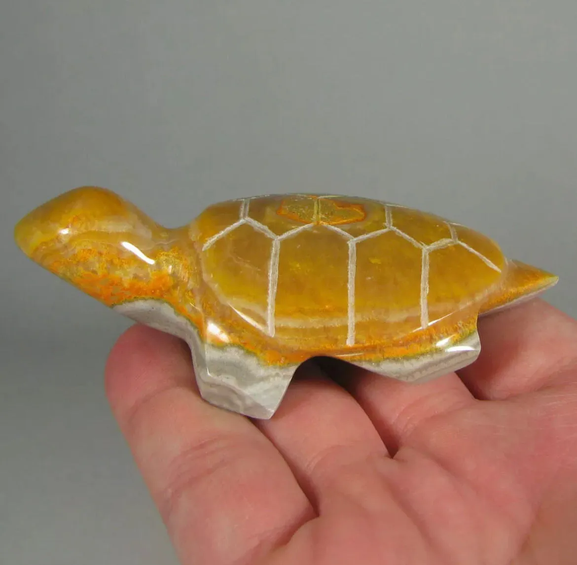 Rare Natural  Bumblebee Jasper Turtle