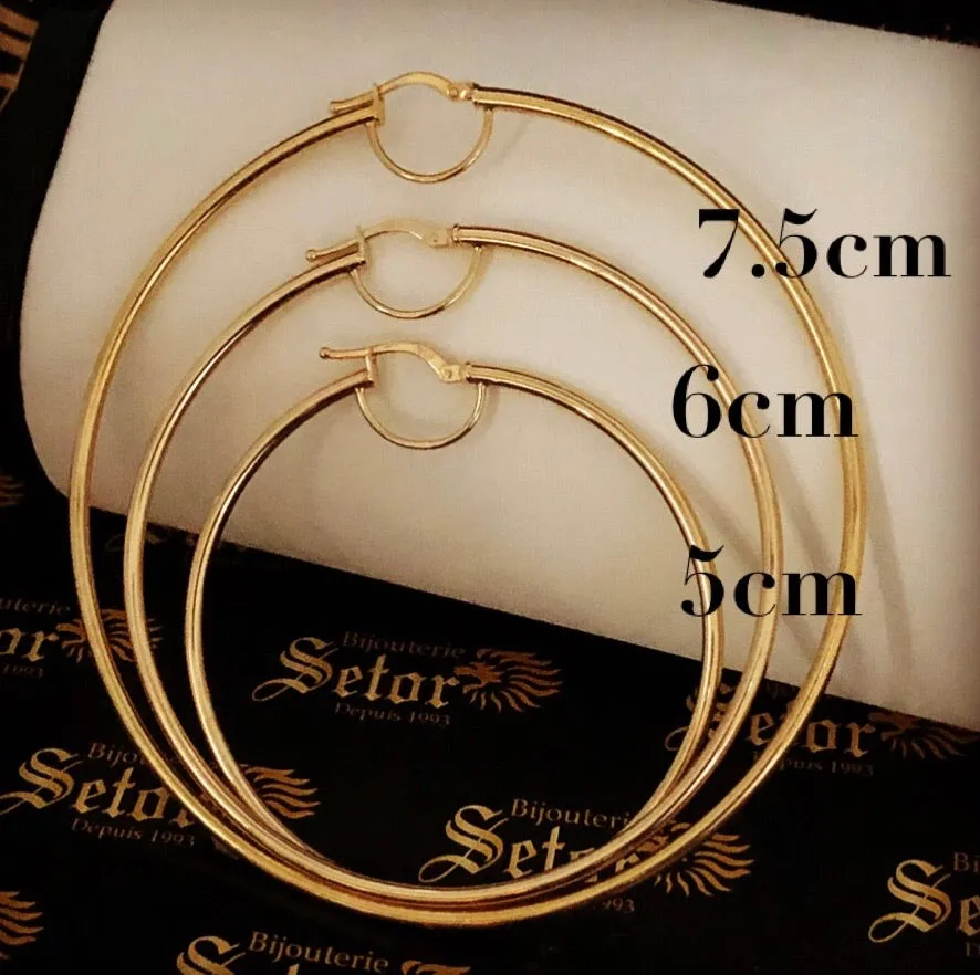 Shelly hoop earrings E057