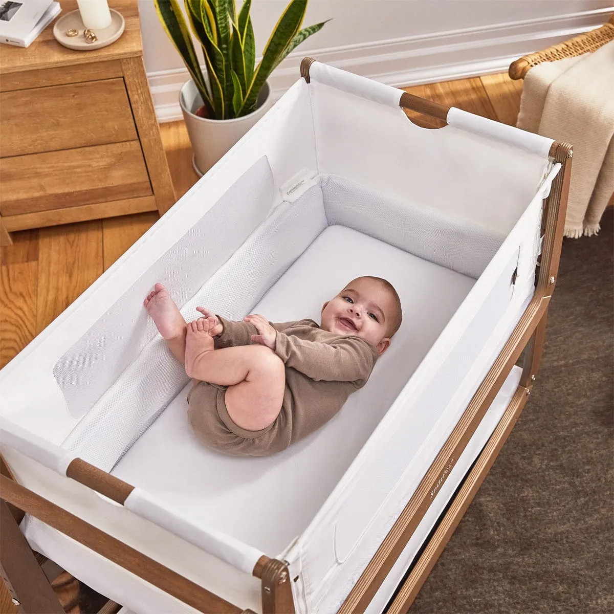 Snuzpod 4 Bedside Crib - The Natural Edit, Walnut